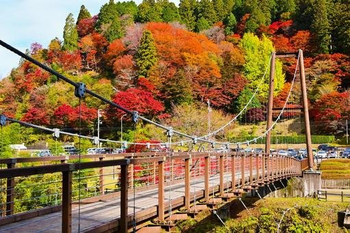 🏞️ 오이다이라 공원(오이다이라 코엔) 이미지 6